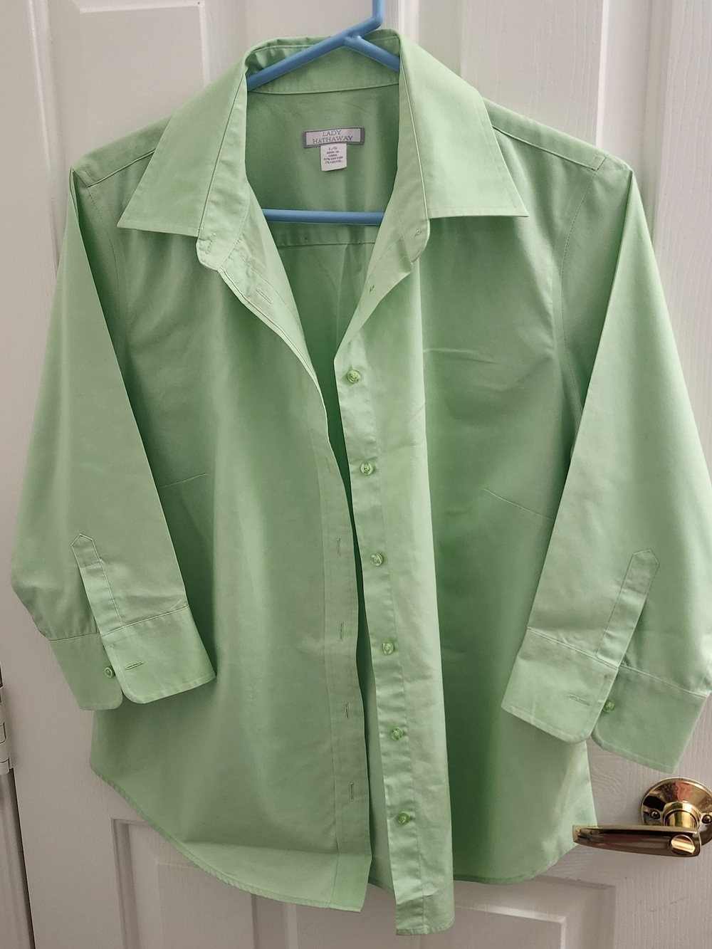 Light Green Button-Down Shirt with Classic Collar